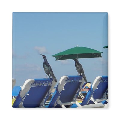 Cancun Refrigerator Magnets by wrlssgirl