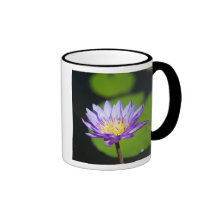 Cancun, Mexico Mug
