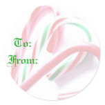 Candy Canes Christmas Gift Tag Sticker