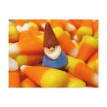 Candy Corn Gnome Post Cards