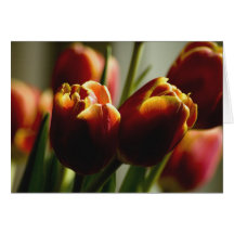 Candy Corn Tulips Card