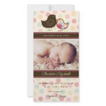 Candy Damask Chicks Birth Announcement Photo Card