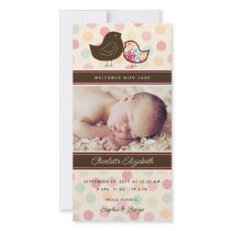 Candy Damask Chicks Birth Announcement Photo Card