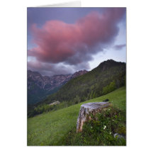 Candy Floss Cloud Card