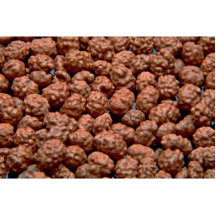 Candy peanuts cut out