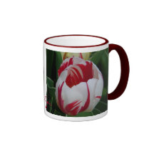 Candy Stripe Tulip Mug
