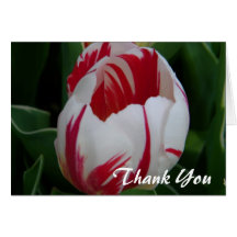 Candy Stripe Tulip Thank You Card