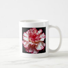 Candy-striped carnation  flowers coffee mugs