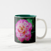 Candy striped pink rose coffee mugs