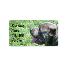 Cane Corso Address labels