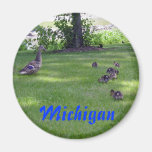 Canetons du Michigan Magnets Pour Réfrigérateur