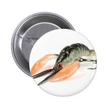 cangrejo cranckbaits con fondo blanco boton 