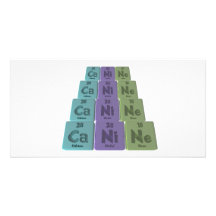 Canine-Ca-Ni-Ne-Calcium-Nickel-Neon.png Custom Photo Card