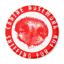 Canine Nosework, Sniffing for Fun Fridge Magnets
