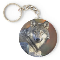 Canis_lupus_Grey Wolf Keychain