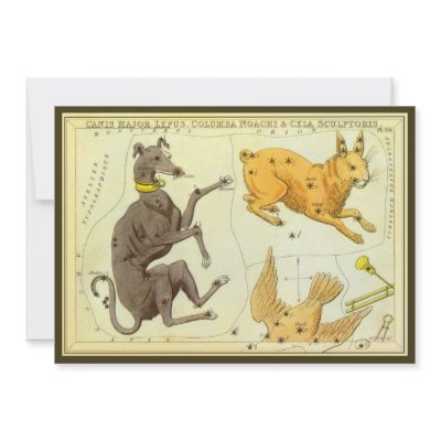 Canis Major, Lepus, Columba Noachi and Caelum Custom Invites by YesterdayCafe