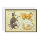 Canis Major, Lepus, Columba Noachi and Caelum invitations