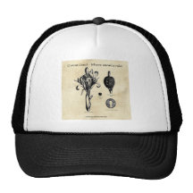 Canna Botanica Mesh Hat