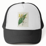 Canna glauca - Botanical Art Trucker Hat