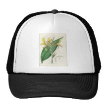 Canna glauca - Botanical Art Trucker Hat