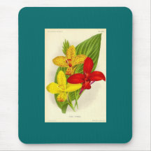 Canna Hybrids Mouse Pad