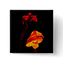 Canna Lilies on Black Pinback Buttons