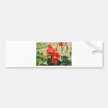 Canna Lilly Adhésifs Pour Voiture
