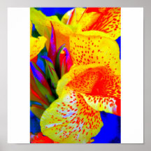 Canna Print
