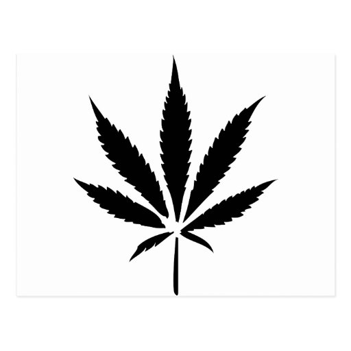 cannabis hemp leaf post card
