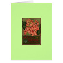 Cannas - seed catalogue card