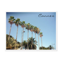 cannes palms postcard