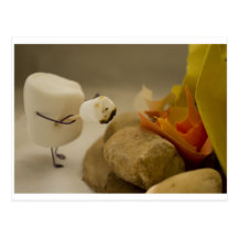 Cannibalism is Sweet - Marshmallow toasting Post Cards