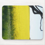Canola & Country 05 Mouse Mats