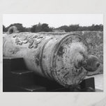 Canon at St Augustine Fort I bw Full Color Flyer