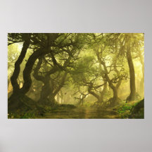 Canopy Creek Spring Posters