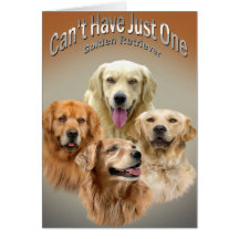 Can't Have Just One Golden Retriever Cards