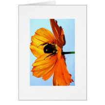 can't see me bee card