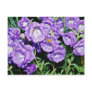 Canterbury bells, hardy common biennial flower  fl postcard