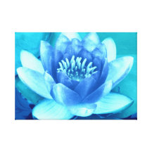 Canvas Aqua Blue Water Lily Canvas Prints