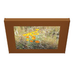 Canvas Print - California poppy canvas prints