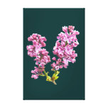 Canvas Print - Lilac blossoms canvas prints