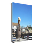 Canvas print - Pelicans on the pier canvas prints