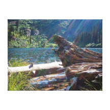 CANVAS PRINT ~ Photo By: Jennifer Edwards