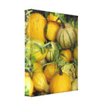 Canvas Print - Summer squash 1 canvas prints