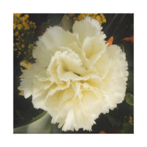 Canvas Print White Carnation Beauty