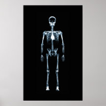 Canvas Print X-Ray Vision Blue Single Skeleton