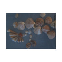 Canvas - Shell Gaisha. © Roseanne Pears 2012. Canvas Print