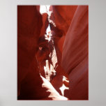 Canyon Art Posters