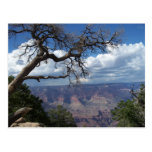 Canyon grand la carte postale peinte de l'Arizona 