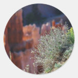 Canyon Landscape Round Stickers